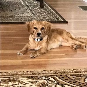 Meet your Posher, Mohammad